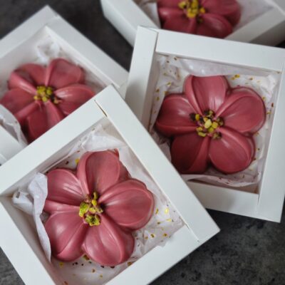 Plumeria lill "Dubai šokolaad"