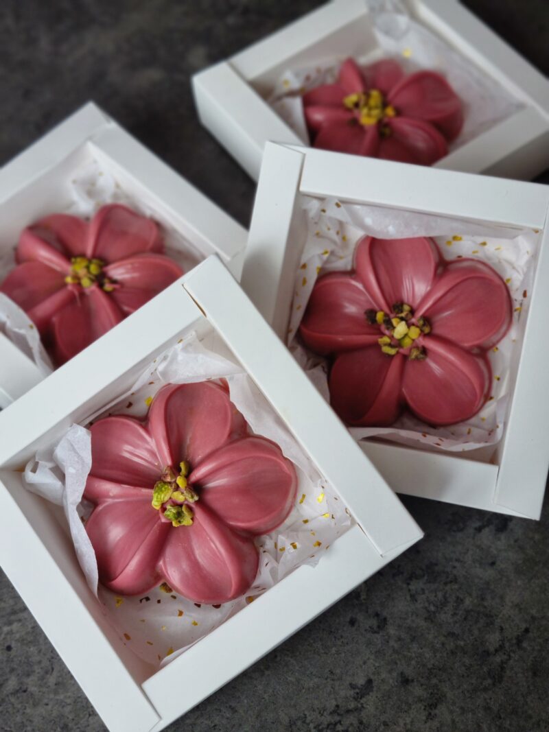 Plumeria lill "Dubai šokolaad"